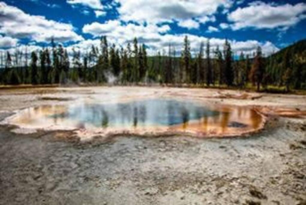 White Owl Retreat Yellowstone Grand Teton Island Park Ngoại thất bức ảnh